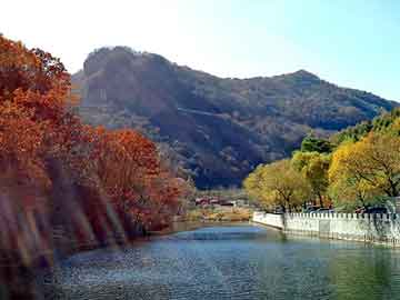 新澳天天开奖资料大全旅游团，节油器原理